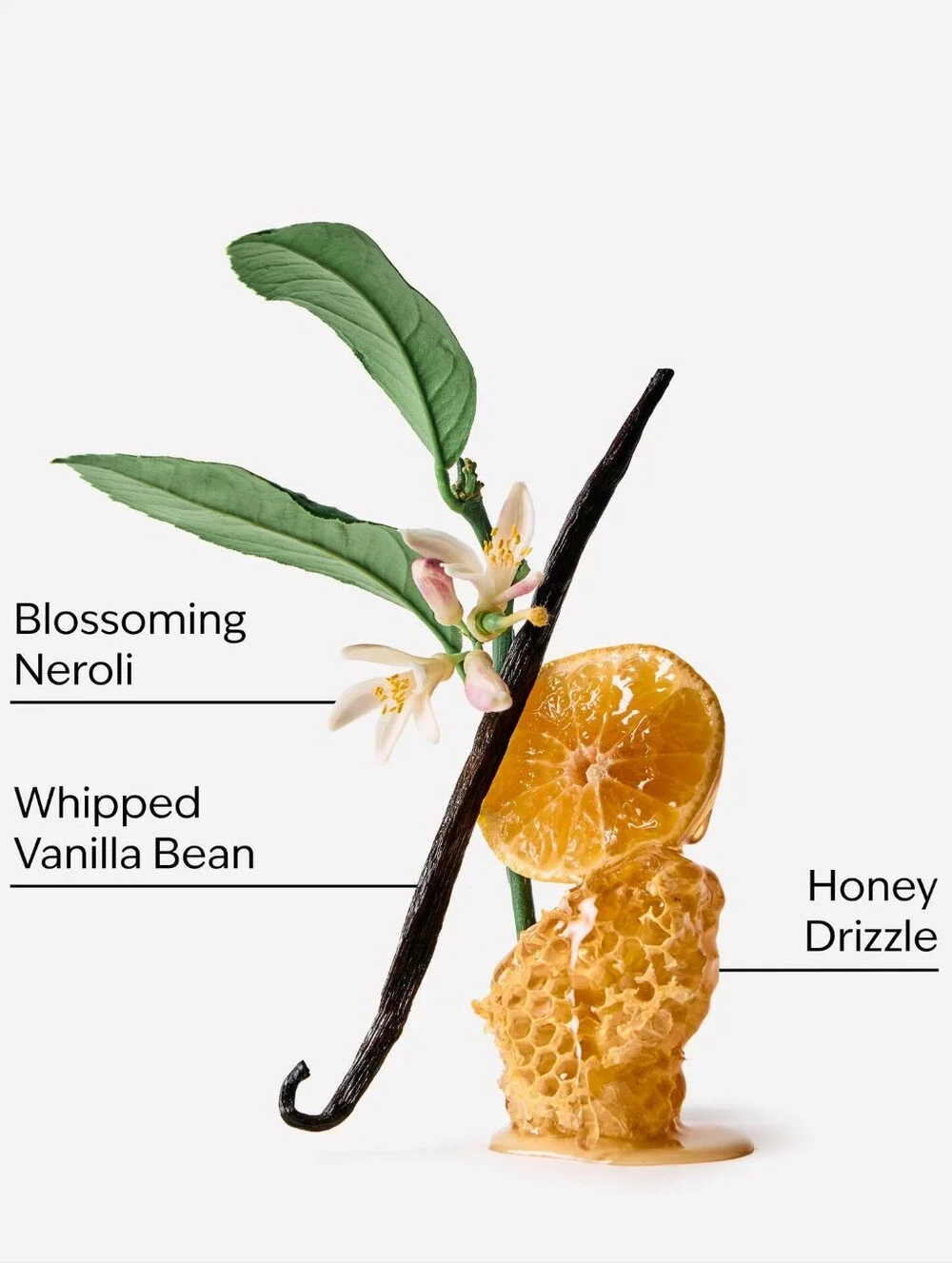 Bath & Body Works Whipped Honey & Vanilla Fine Fragrance Body Mist 8oz NEW